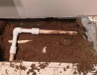 湖州测漏水哪家好