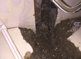 湖州卫生间测漏水哪家好